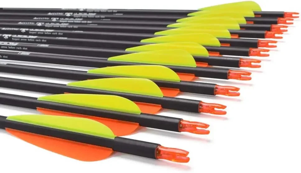 Carbon Hunting Arrows with 100 Grain with Tips.