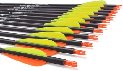 Carbon Hunting Arrows with 100 Grain with Tips.