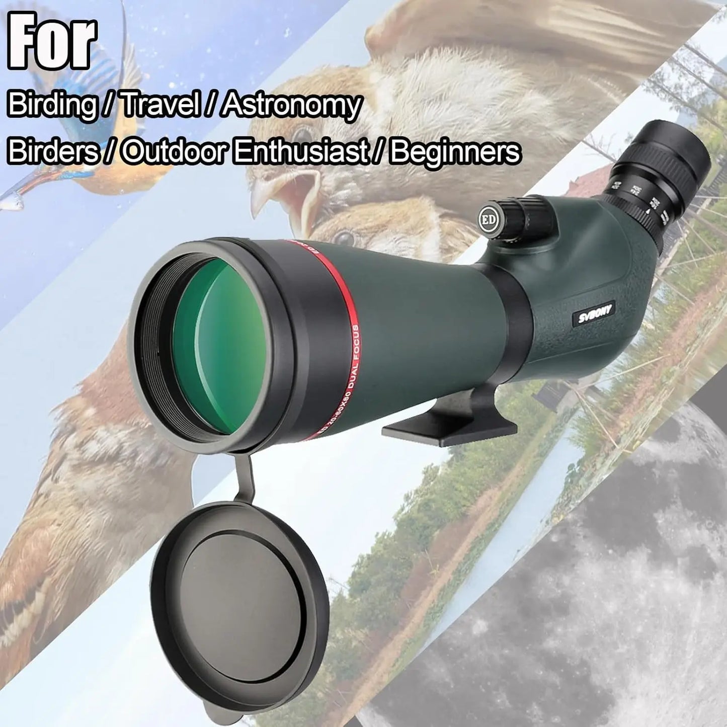 Angled 20-60x80 Spotting Scope, Dual Focus, IPX7 Waterproof.