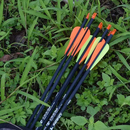 Carbon Hunting Arrows with 100 Grain with Tips.