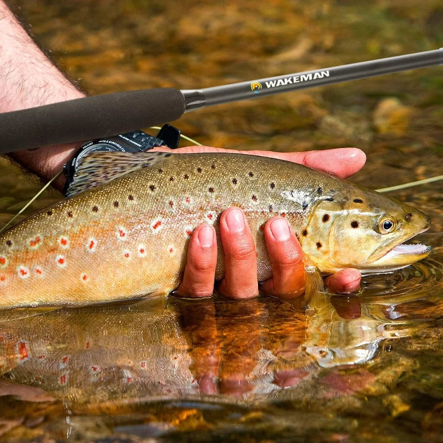 Fly Fishing Rod and Reel Combo with Carrying Case, Flies and Fishing Line for Outdoor Angling Adventures