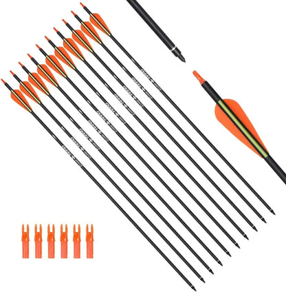 Carbon Hunting Arrows with 100 Grain with Tips.